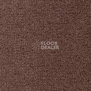 Ковролин Radici Forum Visone 2136 фото 1 | FLOORDEALER